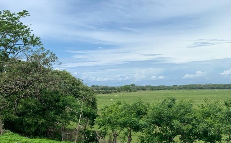 Potrero, arbolado y cielo de Azuero, vista desde una loma.